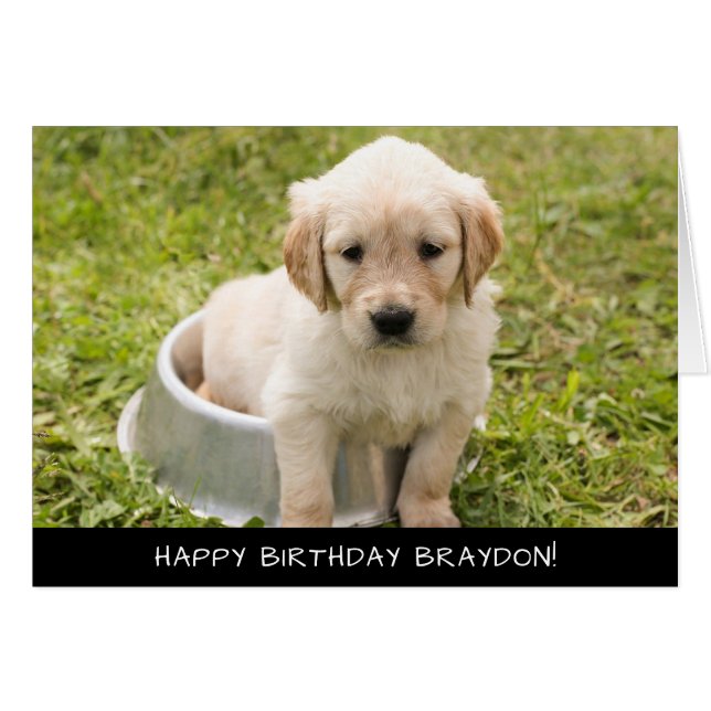 Labrador Puppy Hund Birthday Card Hälsningskort (Framsidan Horizontal)