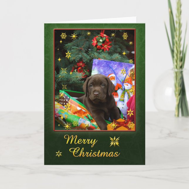 Labrador puppy in christmas mood helgkort (Framsida)