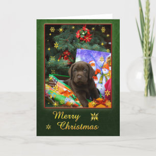 Labrador puppy in christmas mood helgkort