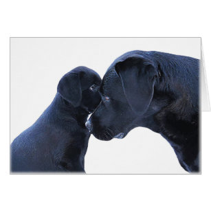 Labrador Puppy Kärlek - Hund Mamma Pappa - Svart l Hälsningskort