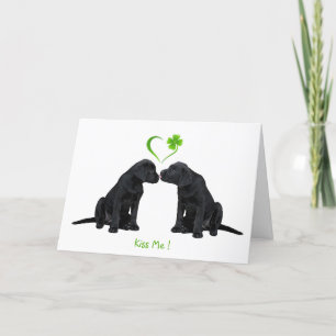 Labrador Puppy Kiss Me St.Patrick's Day Helgkort