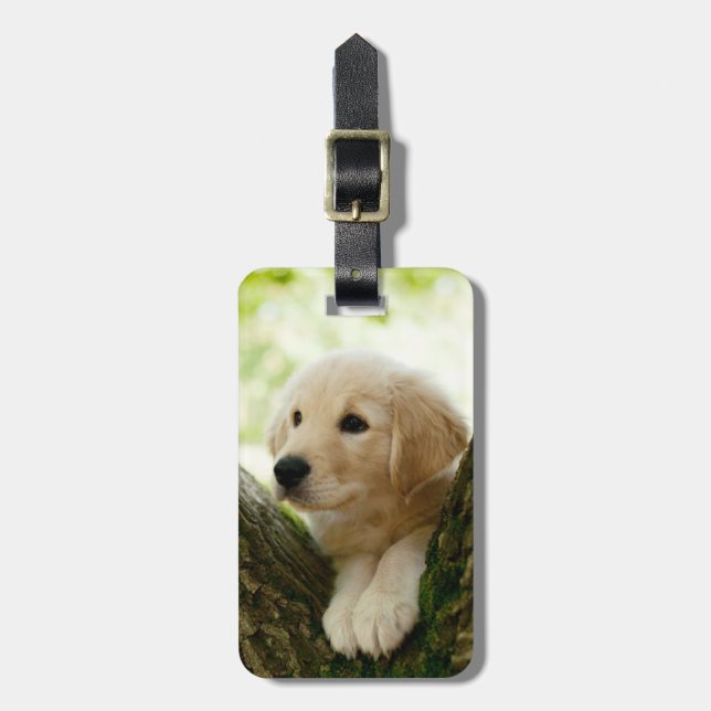 Labrador Puppy Sitta i en trädbeläggning Bagagebricka (Vertikal Framsida)