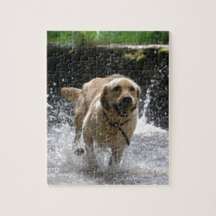 Labrador Pussel