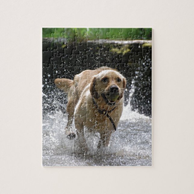 Labrador Pussel (Vertikal)