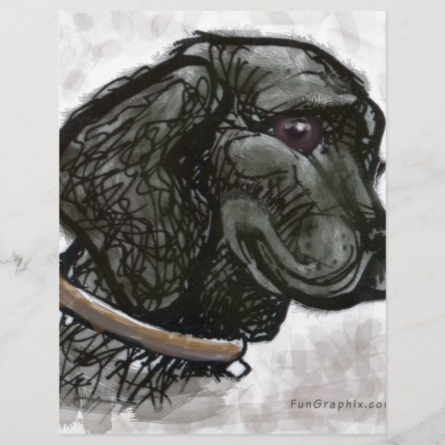 Labrador Retriever (Framsida)