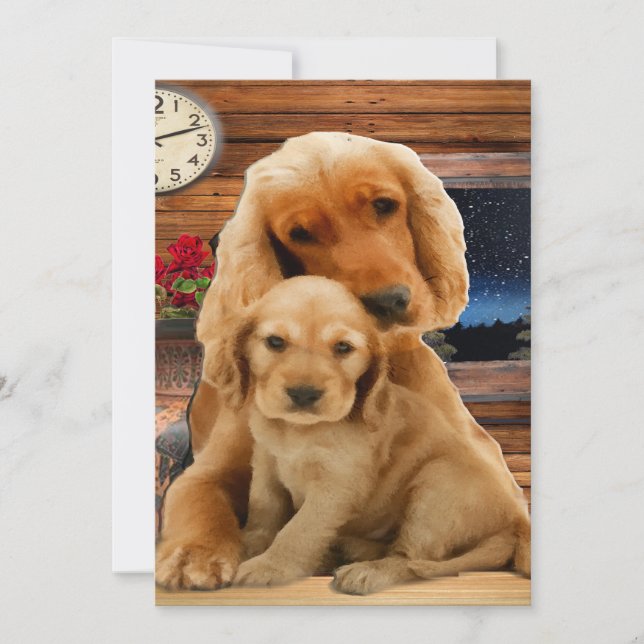 Labrador Retriever (Framsida)