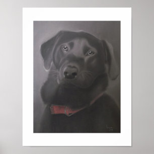 Labrador Retriever 11 x 14 Poster