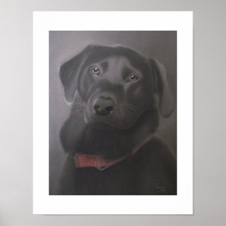 Labrador Retriever 11 x 14 Poster