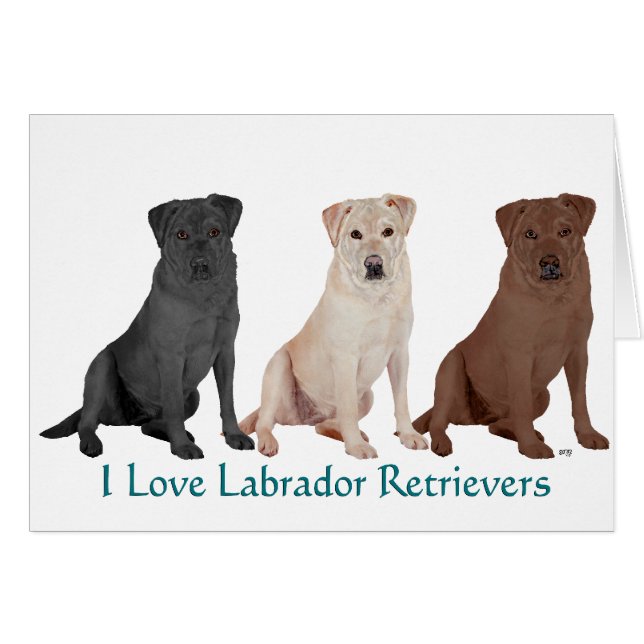 Labrador Retriever - 3 färger att älska Hälsningskort (Framsidan Horizontal)
