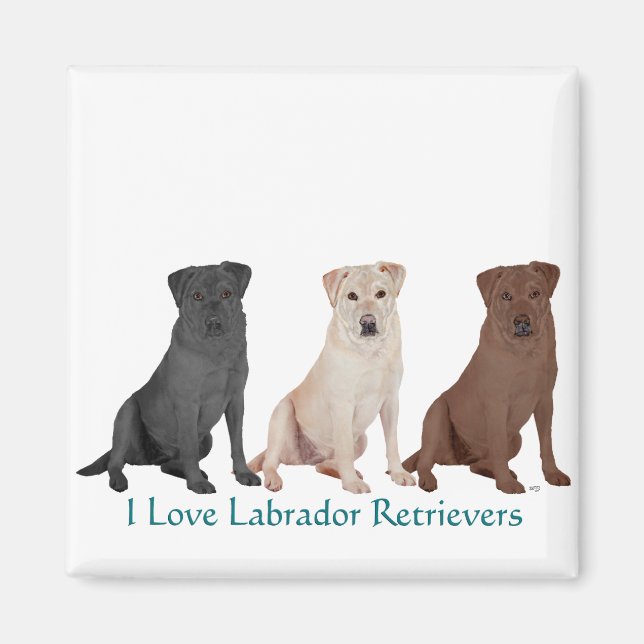 Labrador Retriever - 3 färger att älska Magnet (Framsidan)