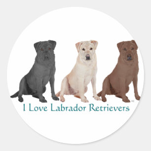 Labrador Retriever - 3 färger att älska Runt Klistermärke