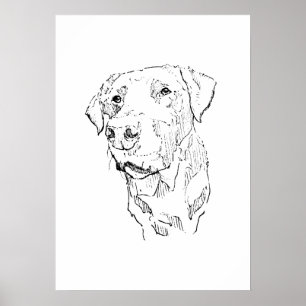 Labrador Retriever Affischkonst, Väggtryck Poster