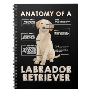 Labrador Retriever Älskare Funny Anatomy of a Labr Anteckningsbok
