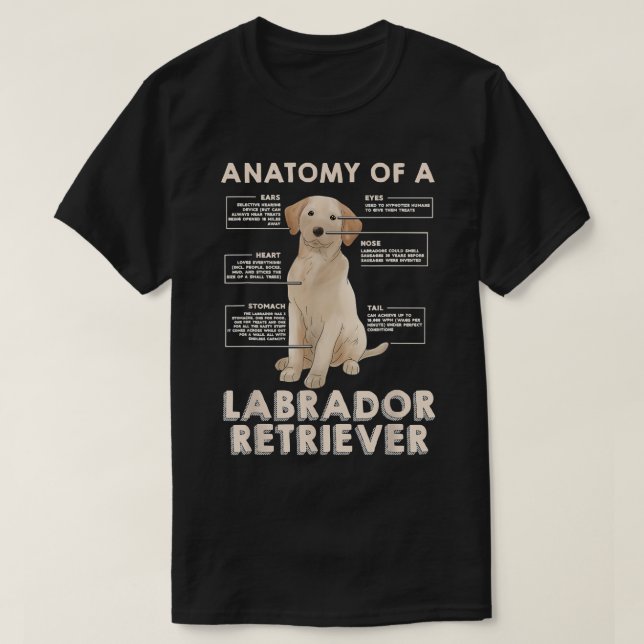 Labrador Retriever Älskare Funny Anatomy of a Labr T Shirt (Design framsida)