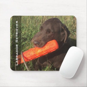Labrador Retriever Anpassningsbar Photo Hunting Hu Musmatta