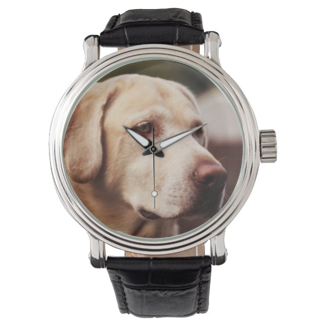 Labrador Retriever Armbandsur (Framsida)