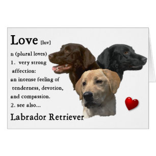 Labrador Retriever Art Gifts Hälsningskort
