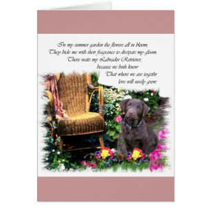 Labrador Retriever Art Gifts Hälsningskort