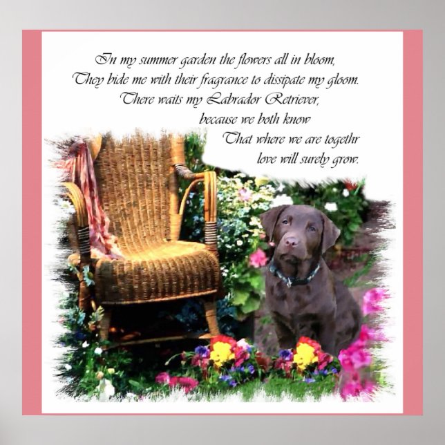 Labrador Retriever Art Gifts Poster (Framsidan)
