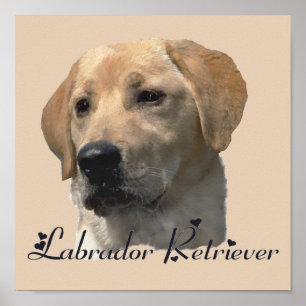 Labrador Retriever Art Printing Poster