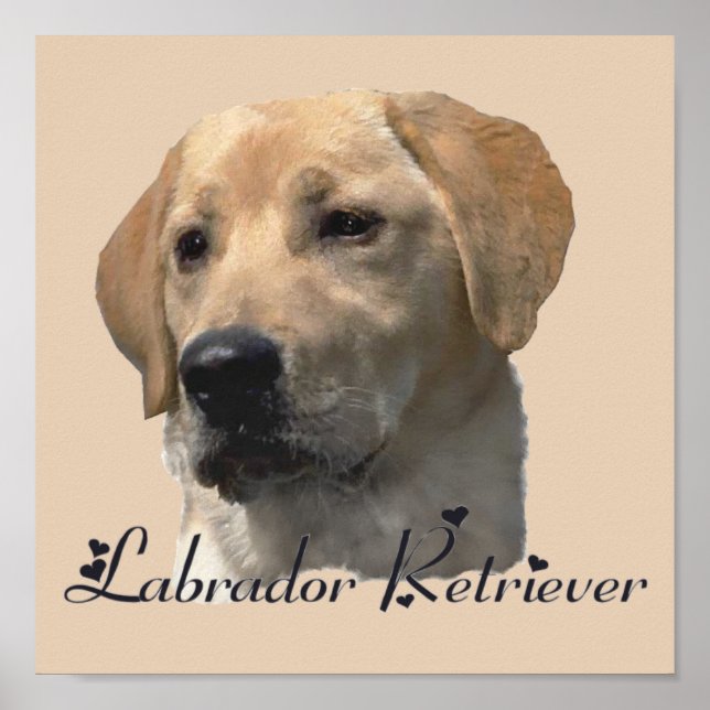 Labrador Retriever Art Printing Poster (Framsidan)