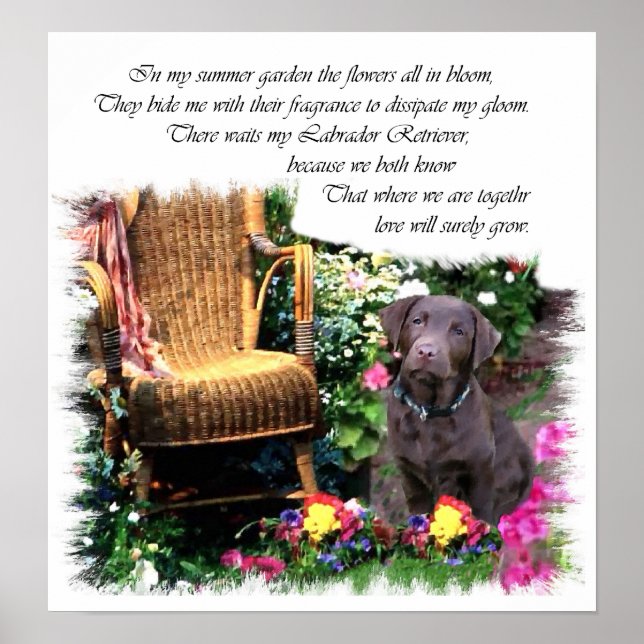 Labrador Retriever Art-utskrift Poster (Framsidan)
