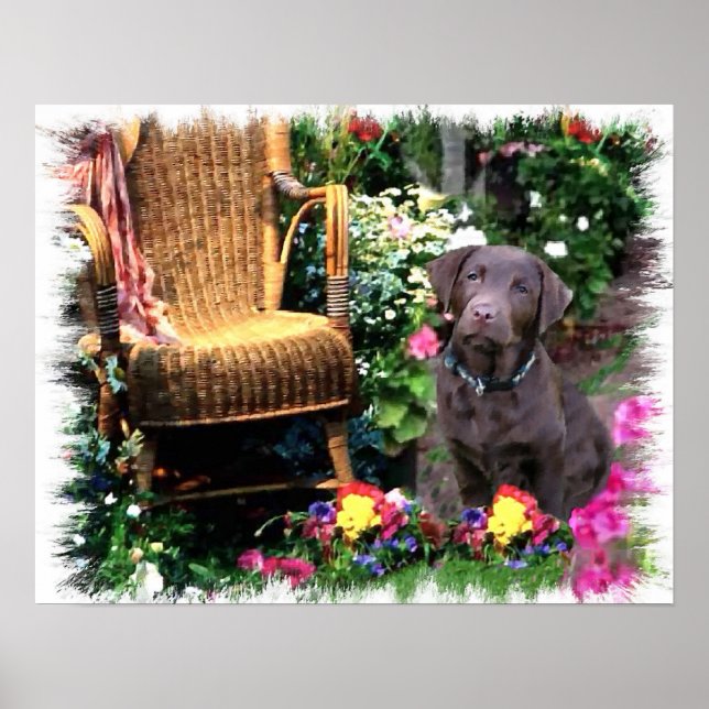 Labrador Retriever Art-utskrift Poster (Framsidan)