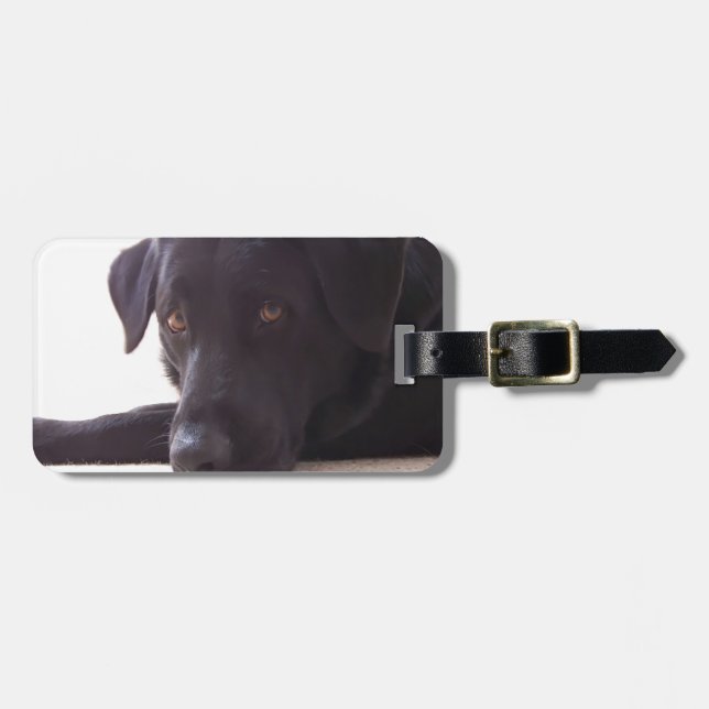 labrador retriever bagagebricka (Horisontell Framsida)