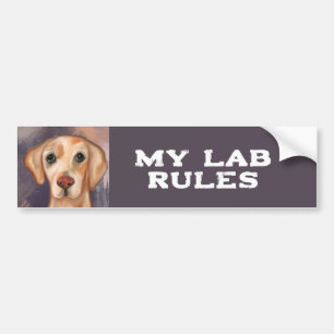 Labrador Retriever Bildekal