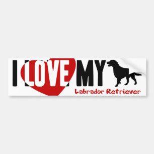 Labrador Retriever Bildekal