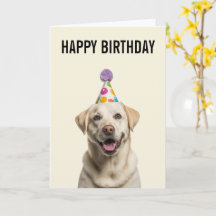 Labrador Retriever Birthday Celebration