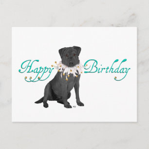 Labrador Retriever Birthday Greetings Vykort