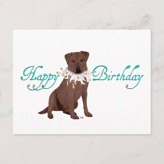 Labrador Retriever Birthday Greetings Vykort (Framsida)