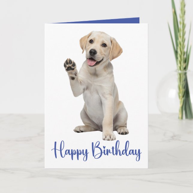 Labrador Retriever Birthday Gul lab Puppy Hund Kort (Framsida)