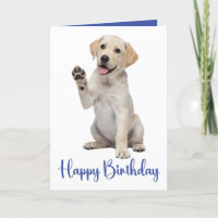 Labrador Retriever Birthday Gul lab Puppy Hund