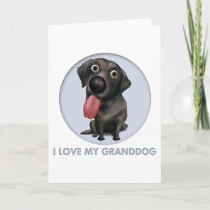 Labrador Retriever (Black) Granddog Kort