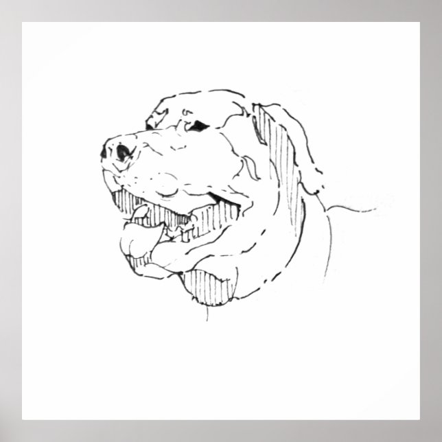 Labrador Retriever Bläck Väggkonst (Framsidan)