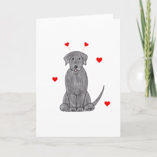 Labrador Retriever Black Valentine Öron Helgkort