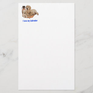 Labrador Retriever Brevpapper