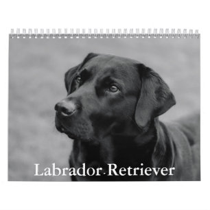 Labrador Retriever Calendar Kalender