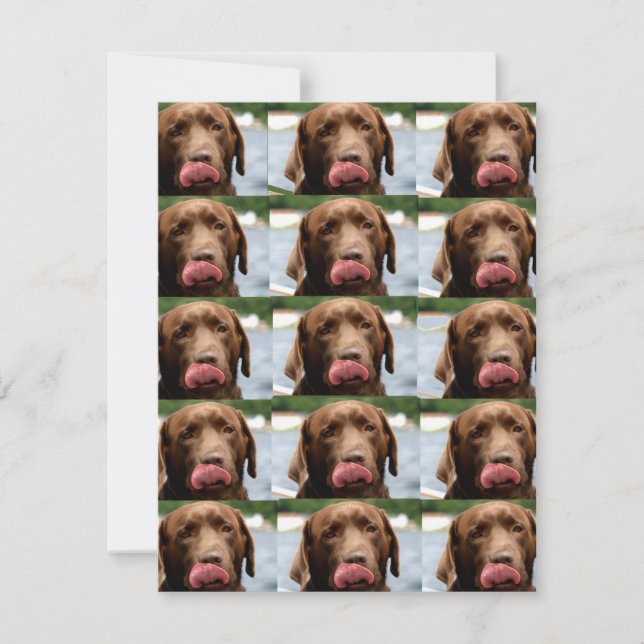 Labrador Retriever Chocolate Tiles BG Anteckningskort (Framsida)