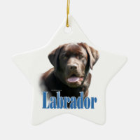 Labrador Retriever (choklad) Namn