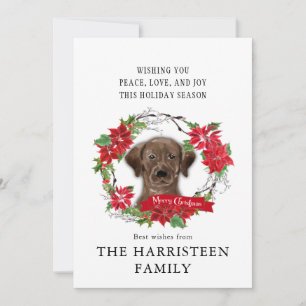 Labrador Retriever choklad Poinsettia jul Julkort