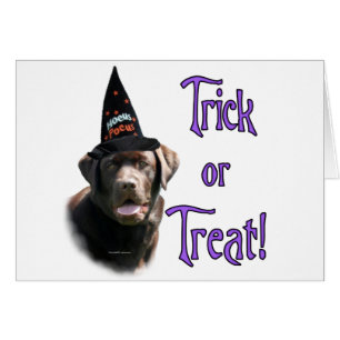 Labrador Retriever (choklad) Trick Hälsningskort