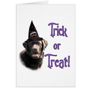 Labrador Retriever (choklad)Trick Hälsningskort