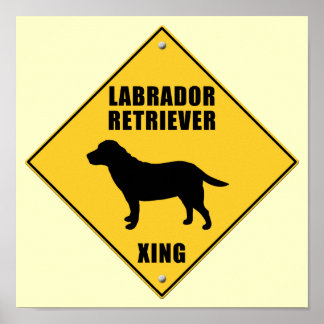 Labrador Retriever Crossing (XING) Sign Poster