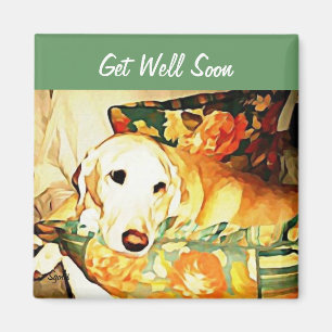 Labrador Retriever får bra magnet