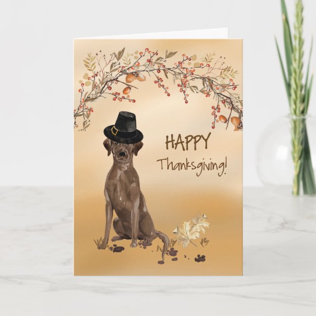 Labrador Retriever Funny Pilgrim Hat Thanksgiving Kort (Framsida)
