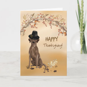 Labrador Retriever Funny Pilgrim Hat Thanksgiving Kort