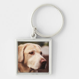 Labrador Retriever Fyrkantig Silverfärgad Nyckelring